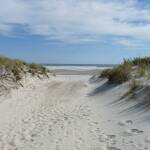 Плаж, дюна. Снимка: wikimedia commons