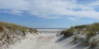 Плаж, дюна. Снимка: wikimedia commons