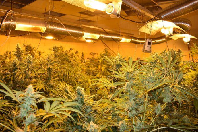 Лаборатория за марихуана, Сливен. Снимка: МВР