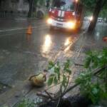 Снимка: Славян Николов, Фейсбук