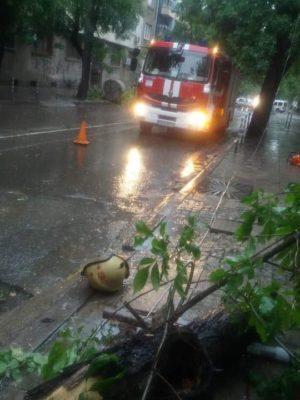 Снимка: Славян Николов, Фейсбук