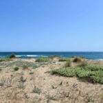 Пясъчни дюни