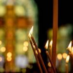 В памет на Шабан Шаулич