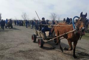Последните в кушията с каруци. Снимка: Община Камено