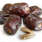 Фурми. Снимка: Общомедия