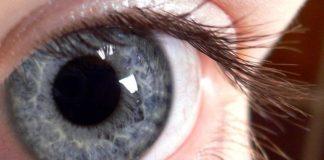 Снимка: Общомедия