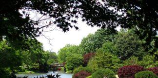 Река Мисури. Снимка: Общомедия