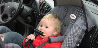 Снимка: Общомедия