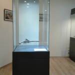 Изложба Оръжието на свободата