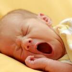 Харпър тежи 7 килограма. Снимка: Общомедия