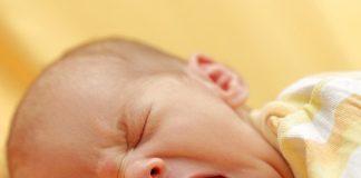 Харпър тежи 7 килограма. Снимка: Общомедия