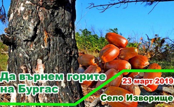 Посади и отгледай дърво. Снимка: ДГС