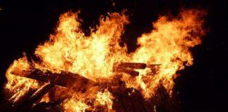 Снимка: Общомедия