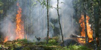 Снимката е илюстративна. Източник: Пиксабай