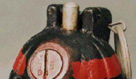 Лимонка. Снимка: Общомедия