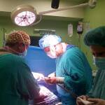 Снимка: ''Пирогов''