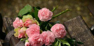 Карамфил. Снимка: Пиксабай