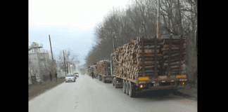 Снимка: Скрийншот от клипа