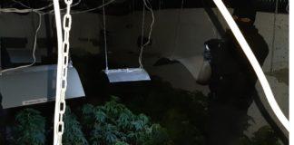 Нарколаборатория