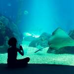 Снимката е илюстративна. Източник: Пиксабай