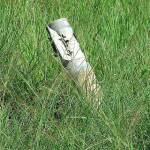 Снаряд. Снимка: Общомедия