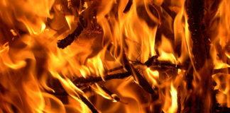 Пожар. Снимка: Общомедия