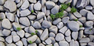 Снимката е илюстративна. Източник: Пиксабай