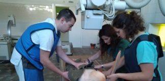 Розов пеликан