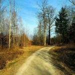 Времето, слънчево, прогноза