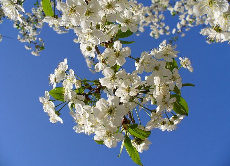 Днес 20 март в 11 01 часа българско време официално ще