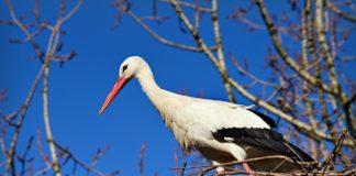 Снимката е илюстративна. Източник: Пиксабай