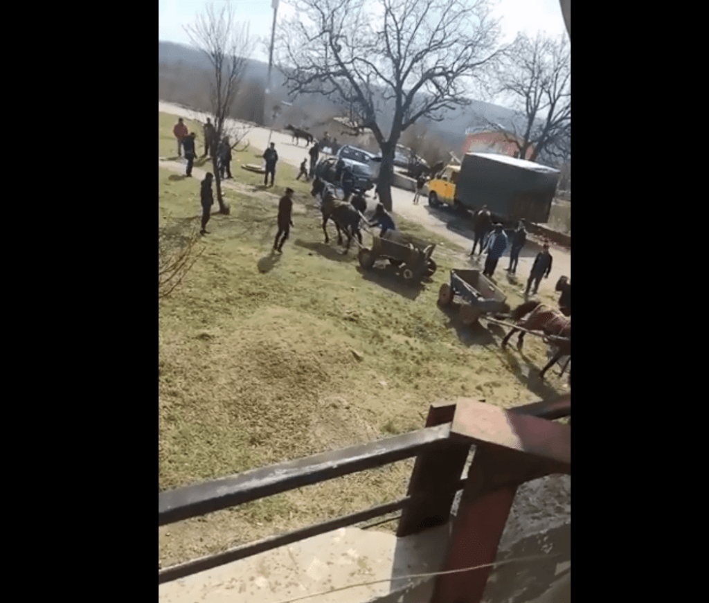 Цигани малтретират коне. Снимка: Скрийншот от клипа