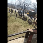 Цигани малтретират коне. Снимка: Скрийншот от клипа