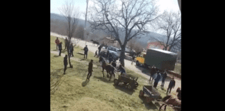 Цигани малтретират коне. Снимка: Скрийншот от клипа