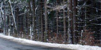 Зима. Снимка: Общомедия