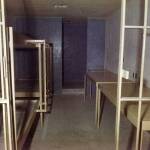 Снимка: Общомедия