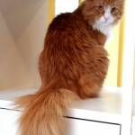 Снимка: Елена Страхилова