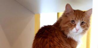 Снимка: Елена Страхилова