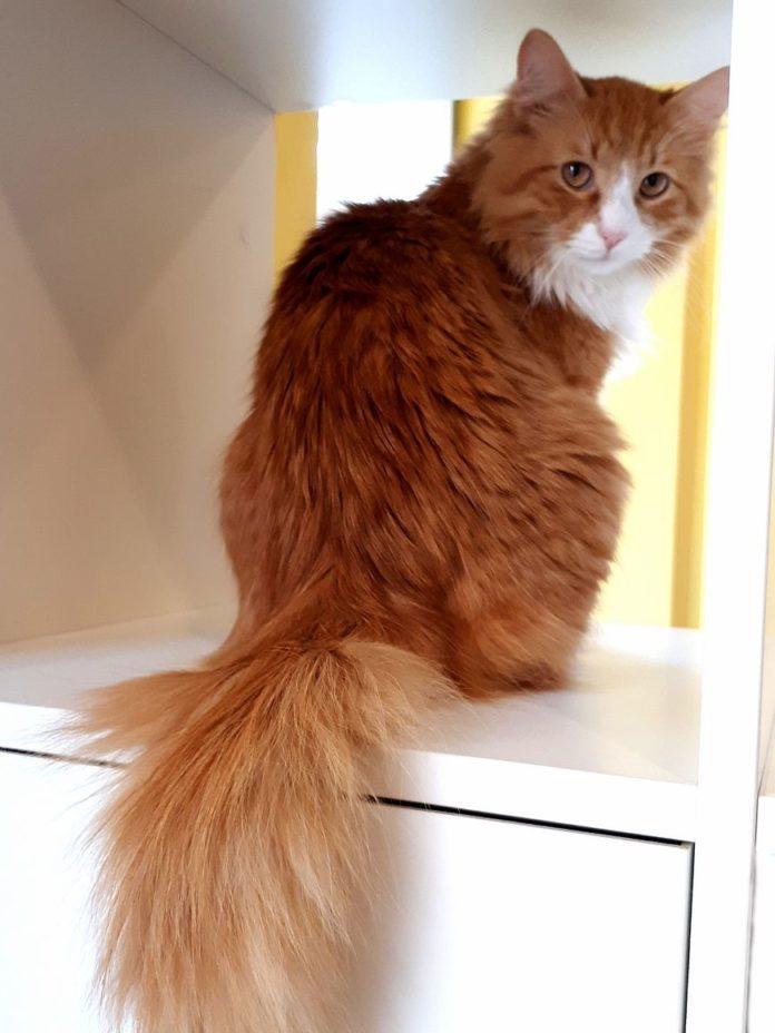 Снимка: Елена Страхилова