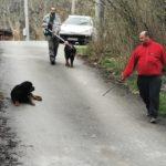 Кучета нахапаха възрастен мъж и три деца в Железница