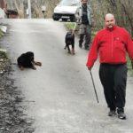 Кучета нахапаха възрастен мъж и три деца в Железница