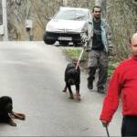 Кучета нахапаха възрастен мъж и три деца в Железница