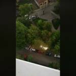 Искри в Плевен