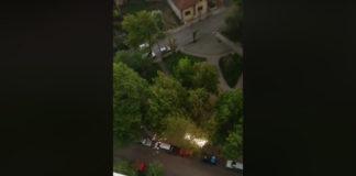 Искри в Плевен