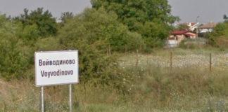 Войводиново