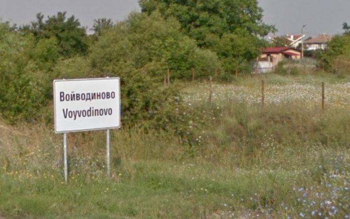 Войводиново