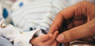 Снимка: Пиксабай