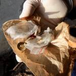 Акция срещу телефонни измамници