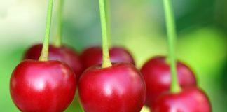 Снимка: Пиксабай