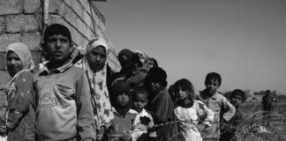 Снимката е илюстративна. Източник: Пиксабай